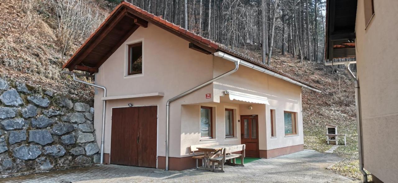 Apartma Regina Slovenj Gradec Exterior foto