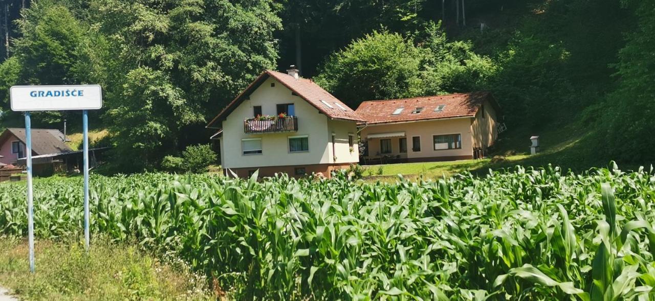 Apartma Regina Slovenj Gradec Exterior foto